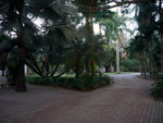 Consultation Image 3